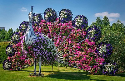 Vườn hoa tự nhiên lớn nhất thế giới nằm giữa sa mạc | Dubai Miracle Garden Vườn hoa tự nhiên lớn nhất thế giới nằm giữa sa mạc | Dubai Miracle Garden