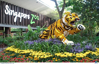 Ghé Thăm Vườn Thú Hoang Dã Đẹp Nhất Singapore (Singapore Zoo)