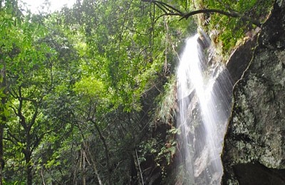 Hành hương ngắm cảnh đường lên thác Vàng Yên Tử (Quảng Ninh) Hành hương ngắm cảnh đường lên thác Vàng Yên Tử (Quảng Ninh)