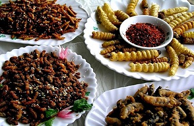 Khác biệt với đặc sản côn trùng tại Lào Khác biệt với đặc sản côn trùng tại Lào
