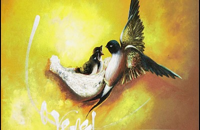 Khám Phá chương trình Nha Trang Và Hiểu Hơn Về Loài Chim Yến Đặc Biệt Khám Phá chương trình Nha Trang Và Hiểu Hơn Về Loài Chim Yến Đặc Biệt