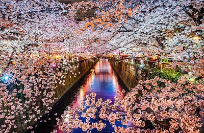 Khám Phá Nhật Bản 4 Ngày Chỉ Với Chưa Đến 22 Triệu Đồng Chỉ Có Tại VietSense