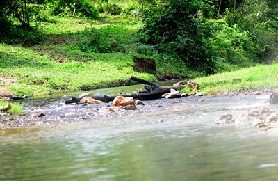 Khám phá suối nước nóng Ngư Hóa, Quảng Bình