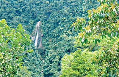 Lào Cai: chương trình sinh thái ở Liêm Phú