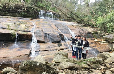 Lào Cai: Trốn nắng hè ở rừng già Dền Sáng Lào Cai: Trốn nắng hè ở rừng già Dền Sáng