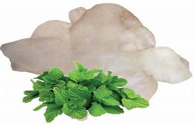 Mặn mòi sứa biển