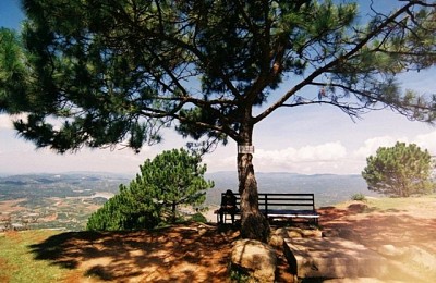 [Chia Sẻ] Món Ngon - Điểm Đẹp Đừng Bỏ Lỡ Khi Đến Đà Lạt