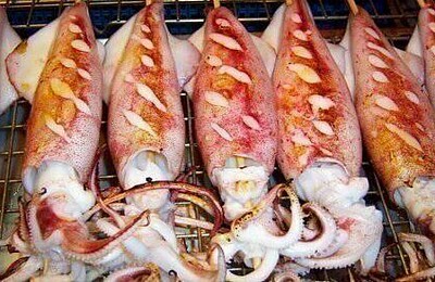 Mực Nhảy, Đặc Sản Mang  Đậm Dấu  Ấn Cửa Lò Mực Nhảy, Đặc Sản Mang  Đậm Dấu  Ấn Cửa Lò