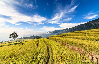 Nên Đi Thăm Quan
 sapa vào thời điểm nào là đẹp nhất?