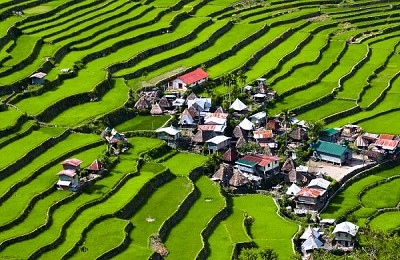 Ngắm ruộng bậc thang xanh mướt Tegalalang Ngắm ruộng bậc thang xanh mướt Tegalalang