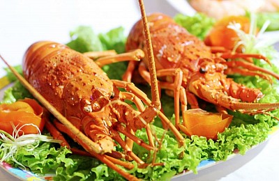 Ngất Ngây 7 Đặc Sản Khi Đến Cát Bà Ngất Ngây 7 Đặc Sản Khi Đến Cát Bà