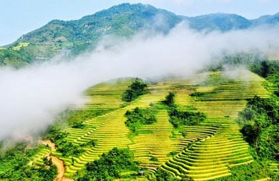 Ngất ngây với những mùa hoa tạo nên thương hiệu  Ngất ngây với những mùa hoa tạo nên thương hiệu