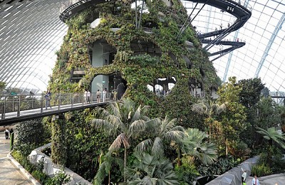 Những điều đặc biệt ở Singapore  khiến cả thế giới ngưỡng mộ