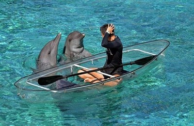 Những điều trải nghiệm thật đã ở Singapore (Phần 2)