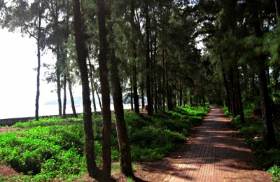 Những Trải Nghiệm Tuyệt Vời Khi Bạn Đến Cô Tô Những Trải Nghiệm Tuyệt Vời Khi Bạn Đến Cô Tô