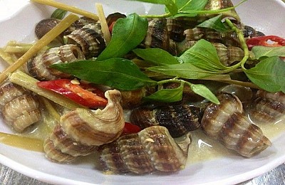 Ốc Thúy Kiều nổi tiếng ở Quy Nhơn Ốc Thúy Kiều nổi tiếng ở Quy Nhơn