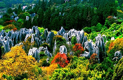 Rừng đá Thạch Lâm, kỳ quan đầu tiên của thế giới Rừng đá Thạch Lâm, kỳ quan đầu tiên của thế giới