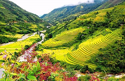 Ruộng bậc thang tưới nước đền ở Bali Ruộng bậc thang tưới nước đền ở Bali