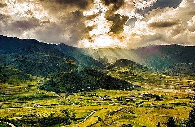 Sắc Thu Chảy Vàng Ruộng Bậc Thang Mù Cang Chải Sắc Thu Chảy Vàng Ruộng Bậc Thang Mù Cang Chải