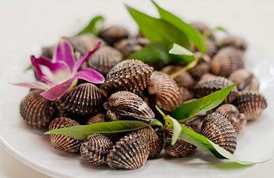 Sò Huyết Đầm Ô Loan - Đặc Sản Của Riêng Phú Yên Sò Huyết Đầm Ô Loan - Đặc Sản Của Riêng Phú Yên