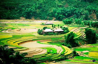 Suối Giàng, Điểm Đến Mới Lý Tưởng Suối Giàng, Điểm Đến Mới Lý Tưởng