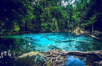 Thả mình trong hồ nước ở Khlong Thom của Thái Lan Thả mình trong hồ nước ở Khlong Thom của Thái Lan