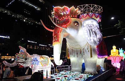 Tham gia lễ hội đèn lồng hoa sen Hàn Quốc