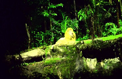 Tham Quan Vườn Thú Night Safari