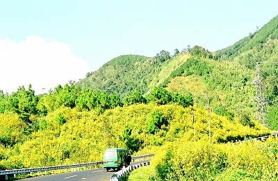 Tháng 10 lịch trình
 Đà Lạt Ngắm Hoa Dã Quỳ Nở Rực Tháng 10 lịch trình
 Đà Lạt Ngắm Hoa Dã Quỳ Nở Rực