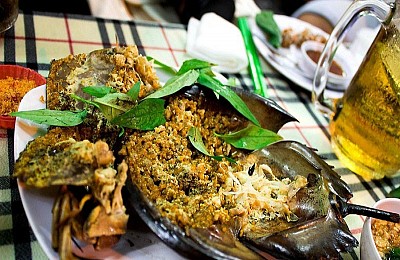 Thơm Ngon Sam Biển Nướng Cát Bà Thơm Ngon Sam Biển Nướng Cát Bà