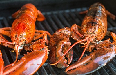 Thưởng thức món tôm hùm sang chảnh ở Canada