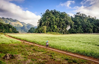Tinh Khôi Đồng Hoa Cải Trắng Mộc Châu Ngày Cuối Thu Đầu Đông Tinh Khôi Đồng Hoa Cải Trắng Mộc Châu Ngày Cuối Thu Đầu Đông