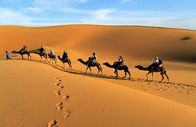 Trải Nghiệm Có 1 Không 2 Trên Sa Mạc Safari Trải Nghiệm Có 1 Không 2 Trên Sa Mạc Safari