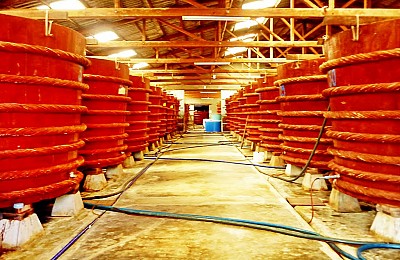 Trải nghiệm độc đáo tại nhà thùng sản xuất nước mắm Phú Quốc Trải nghiệm độc đáo tại nhà thùng sản xuất nước mắm Phú Quốc