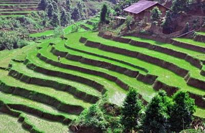 Vẻ đẹp nên thơ của ruộng bậc thang Pác Nặm ở Bắc Kạn Vẻ đẹp nên thơ của ruộng bậc thang Pác Nặm ở Bắc Kạn