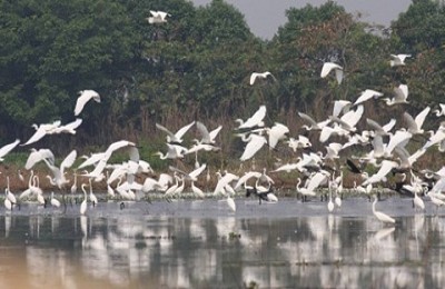 Về miền Tây ngắm “nữ hoàng chân dài Về miền Tây ngắm “nữ hoàng chân dài