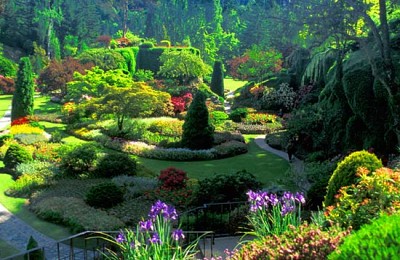 Vườn địa đàng Butchart Gardens xinh đẹp Vườn địa đàng Butchart Gardens xinh đẹp