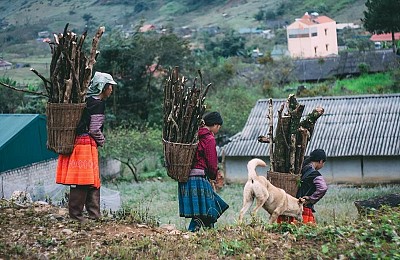 Xách Balo Lên Mộc Châu Ngắm Hoa Cải Trắng Tinh Khôi Trong Cái Lạnh Đầu Đông Xách Balo Lên Mộc Châu Ngắm Hoa Cải Trắng Tinh Khôi Trong Cái Lạnh Đầu Đông
