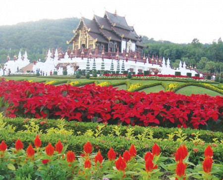 Khám Phá Đóa Hồng Phương Bắc ở đây: Chiang Mai - Chiang Rai 4N3Đ Khám Phá Đóa Hồng Phương Bắc ở đây: Chiang Mai - Chiang Rai 4N3Đ