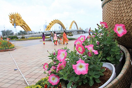 Đà Nẵng 4 Ngày 3 Đêm Tết Âm Lịch