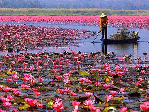 Miền Tây : Sài Gòn - Mỹ Tho