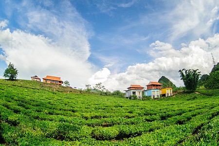 MỘC CHÂU ARENA VILLAGE 2 NGÀY 1 ĐÊM MỘC CHÂU ARENA VILLAGE 2 NGÀY 1 ĐÊM