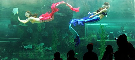 F&E30.04: Nghỉ dưỡng Đảo Ngọc Phú Quốc 30.04