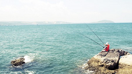 hành trình Côn Đảo 1 ngày - Câu Cá Ngoài Hoang Đào