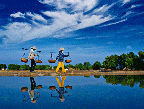 Đồng Tháp Mùa Nước Nổi Giá  Siêu Hot tháng 11,12