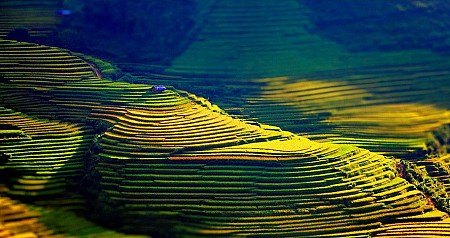 Hà Giang - Mèo Vạc - Hoàng Su Phì