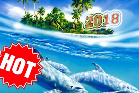 trải nghiệm TP.Hồ Chí Minh - Phú Quốc Tết Dương Lịch 2019