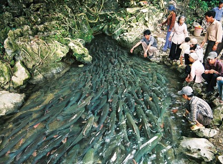 SẦM SƠN - SUỐI CÁ THẦN - THÀNH NHÀ HỒ 3 NGÀY 2 ĐÊM