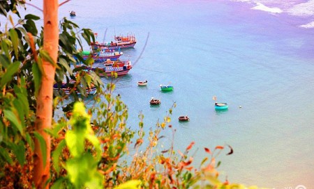 Trải Nghiệm Xứ Hoa Vàng Cỏ Xanh 4 Ngày 3 Đêm Trải Nghiệm Xứ Hoa Vàng Cỏ Xanh 4 Ngày 3 Đêm