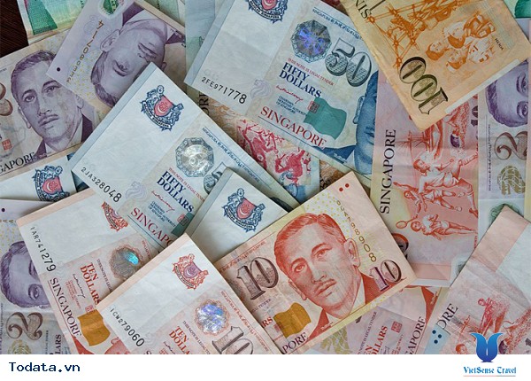 Bạn nên biết những kinh nghiệm này khi đi du lịch Singapore - Ảnh 5